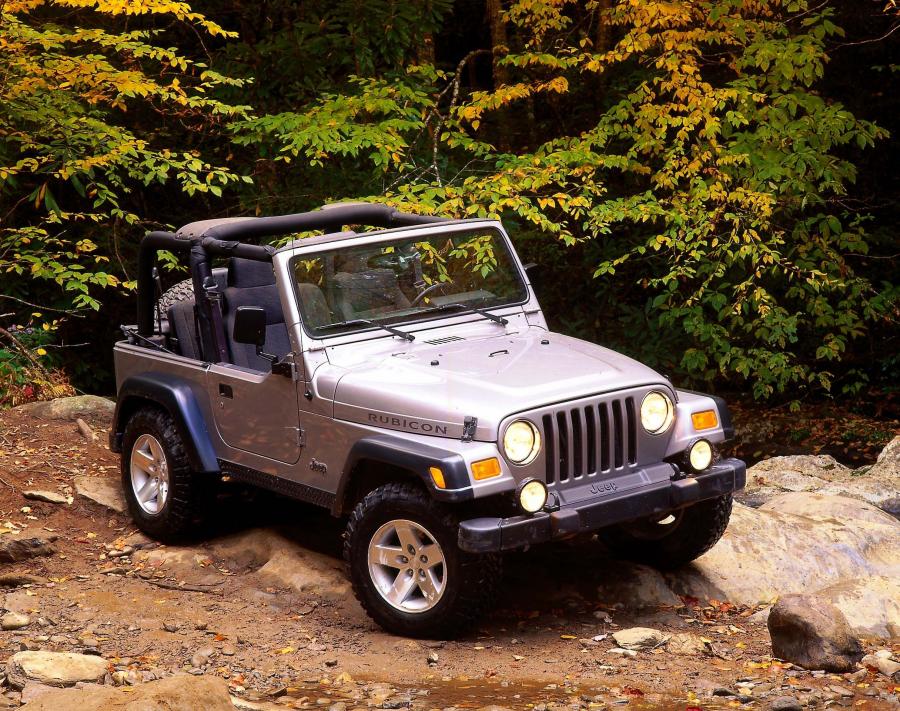  Jeep Wrangler Rubicon 2003 года  (фото 58 из 59)